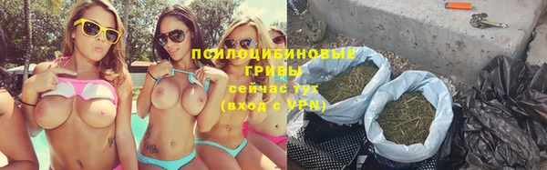 a pvp Алзамай