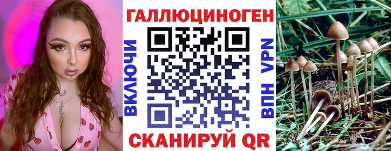 ОМГ ОМГ рабочий сайт  Морозовск  Псилоцибиновые грибы Cubensis  даркнет клад  как найти  