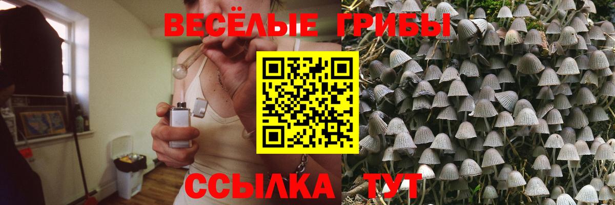 где найти наркотики  Псилоцибиновые грибы Psilocybe  Вход с VPN  Морозовск 